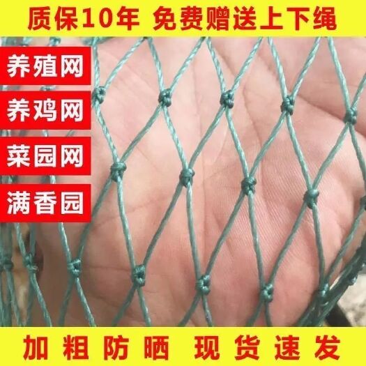 养鸡网养殖网拦鸡网围栏网尼龙网家禽养鸡格网果园护栏网天网