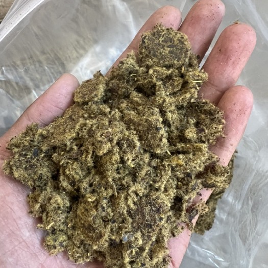 石家庄优质新疆棉饼