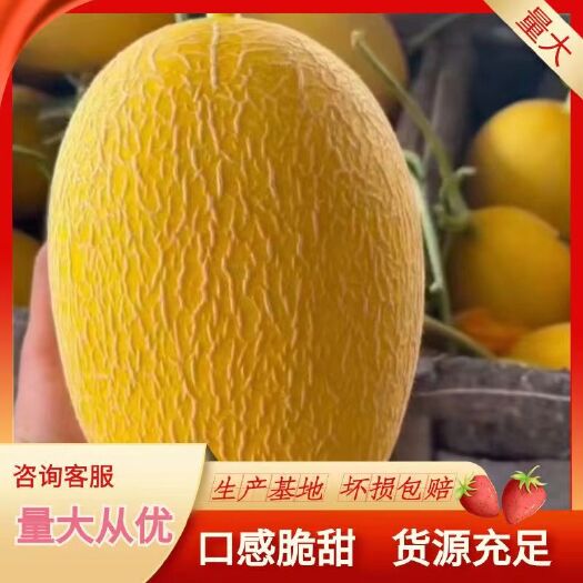 莘县黄哈蜜瓜.胶蜜25号  .哈蜜瓜.价格美丽口感脆甜
