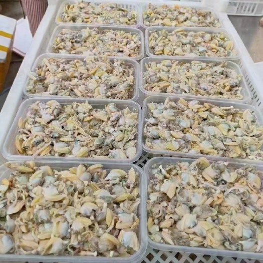 东山县花蛤肉半斤一盒，还有1800盒左右，需要联系，价格便宜出