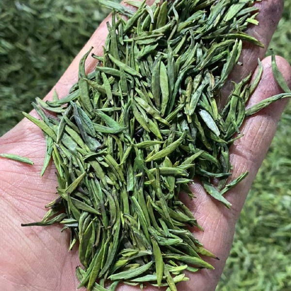 批发竹叶青，素毛峰，花毛峰，甘露，奶白茶，红茶成品茶叶