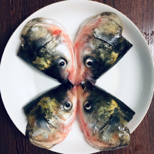 肇庆蝴蝶鱼头