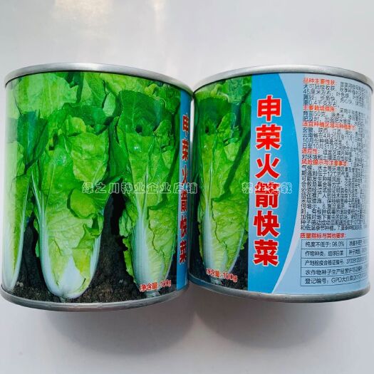 沭阳县火箭快菜种子速生小白菜种籽四季甜嫩高产黄心小白菜光速快菜种籽