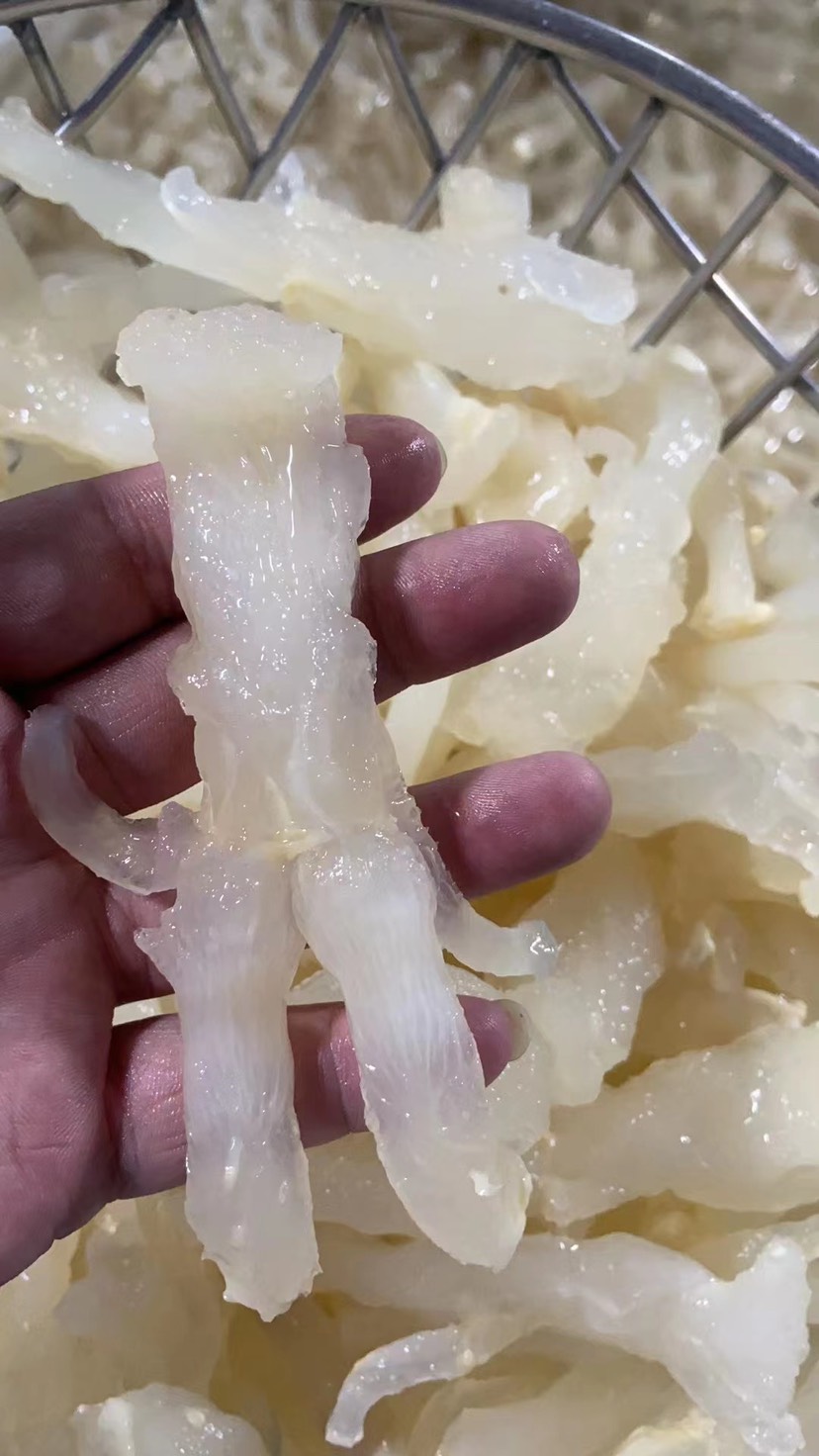 牛蹄筋主筋