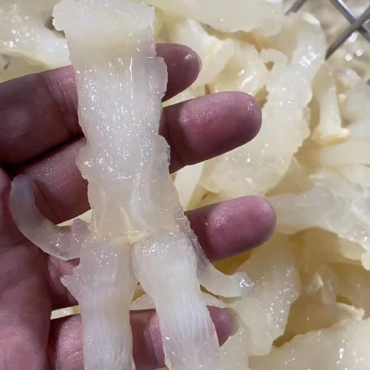 成都牛蹄筋主筋