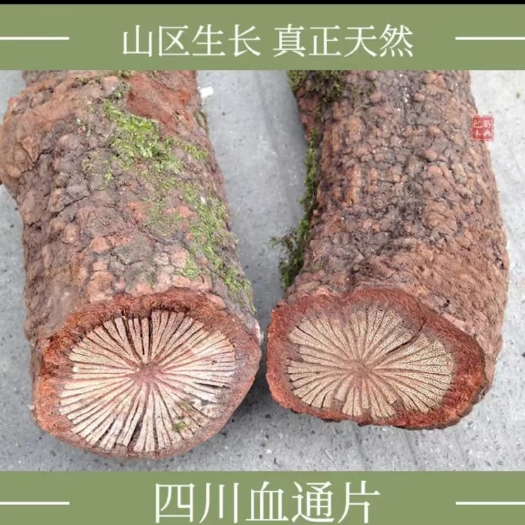 成都新鲜血通大血藤跑江湖摆地摊展销会电商产品旅游景区产品