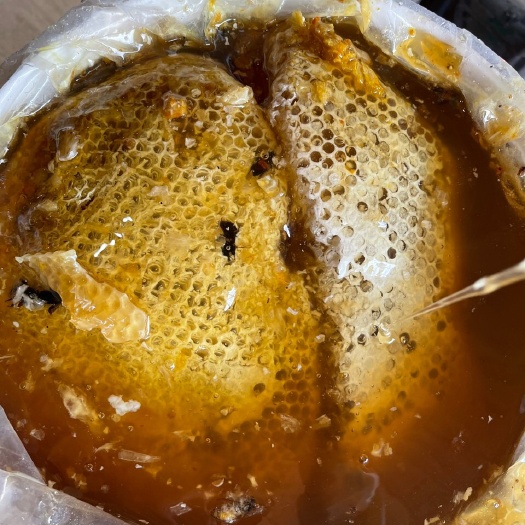 兴义市野生蜂蜜