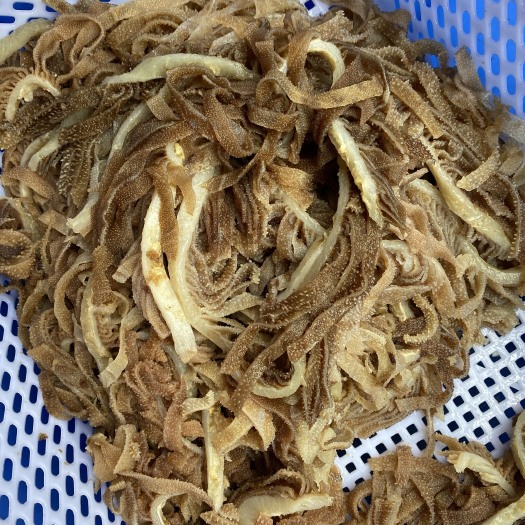 毛肚西皮黑千层