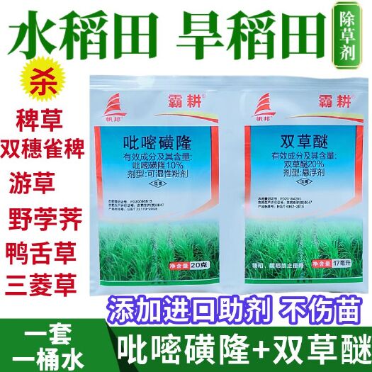 天门市水稻直播田 旱稻田水稻移栽田除草剂稗草游草鸭舌草三菱草除草剂