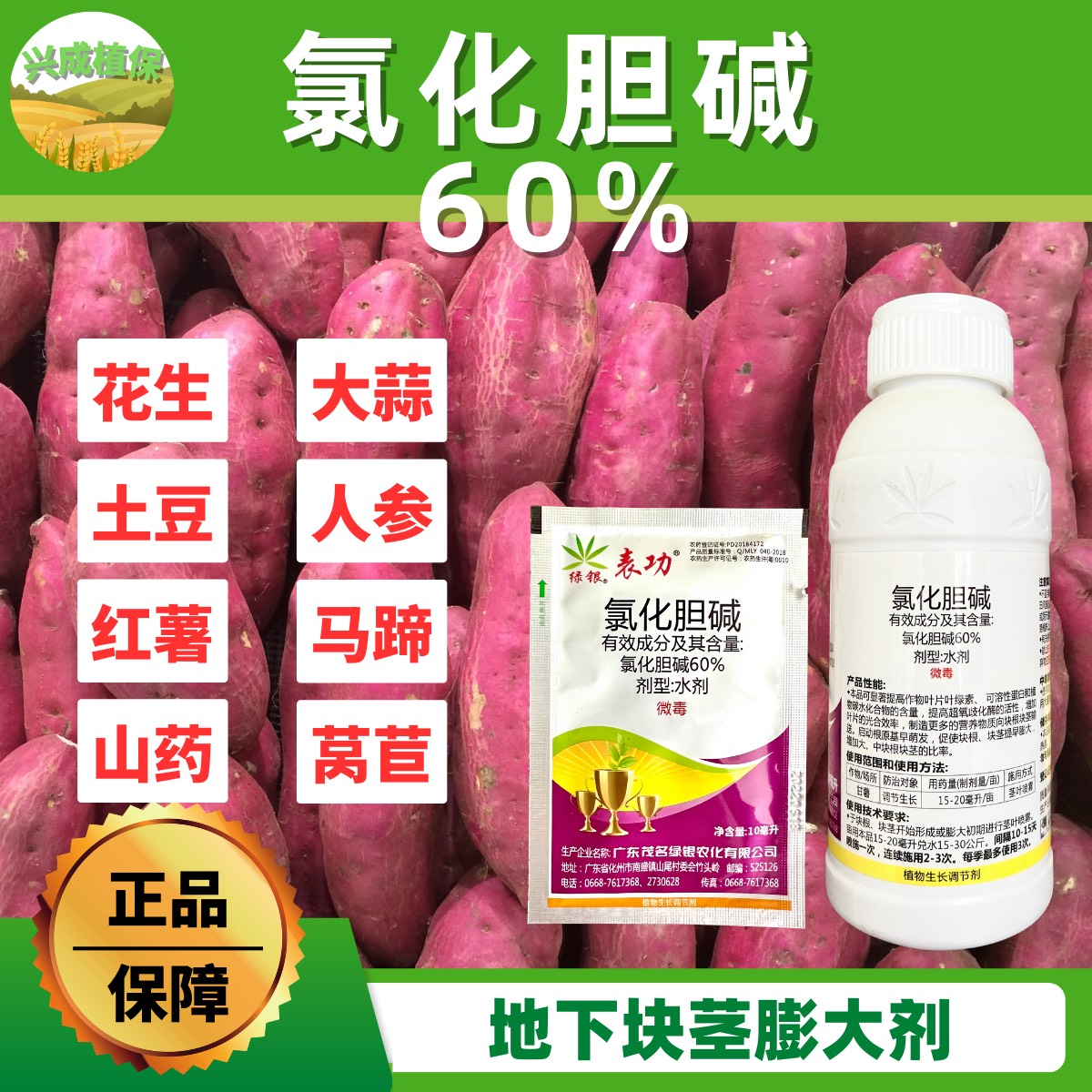 60%氯化胆碱绿银