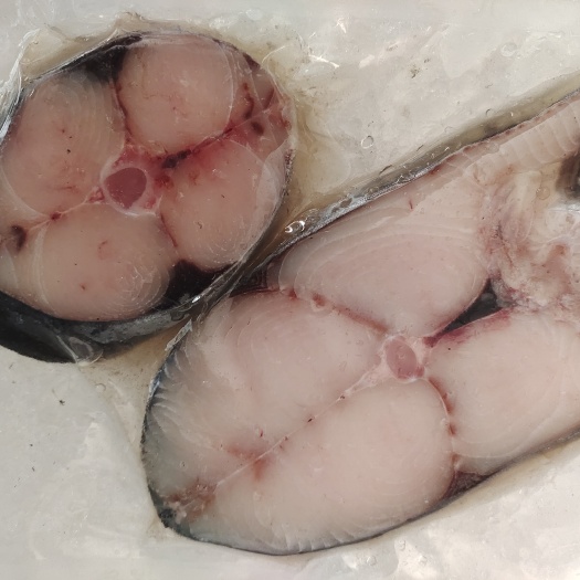 琼海市马鲛鱼肉质鲜美、马鲛鱼是一种营养丰富、美味可口的海产品，