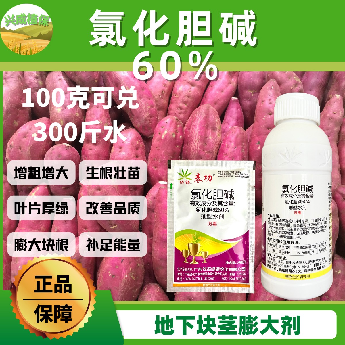 60%氯化胆碱绿银