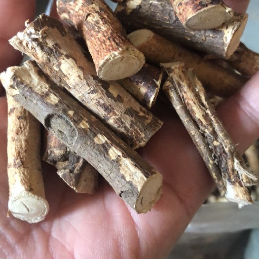 广州五指毛桃