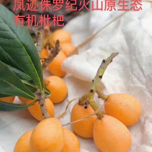 福清市福清早钟6号快递发货