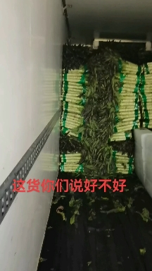 紅尖葉竹筒所有貨品都有