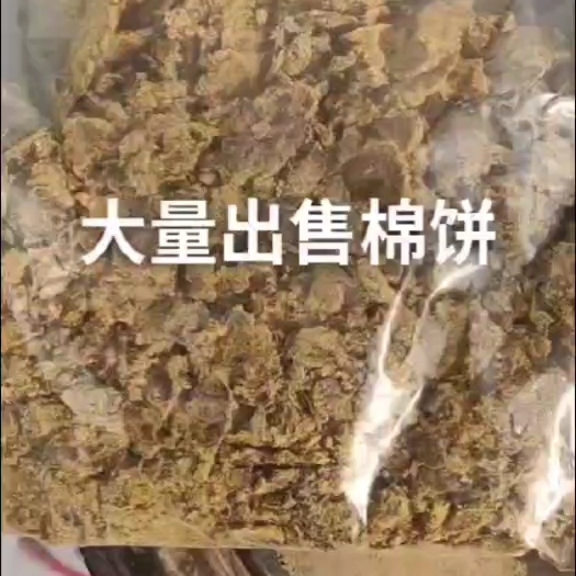 曲阳县优质棉子饼出售。