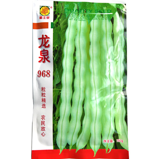寿光市龙泉968九粒白芸豆 老来少种子 高产白不老扁芸豆四季蔬菜种
