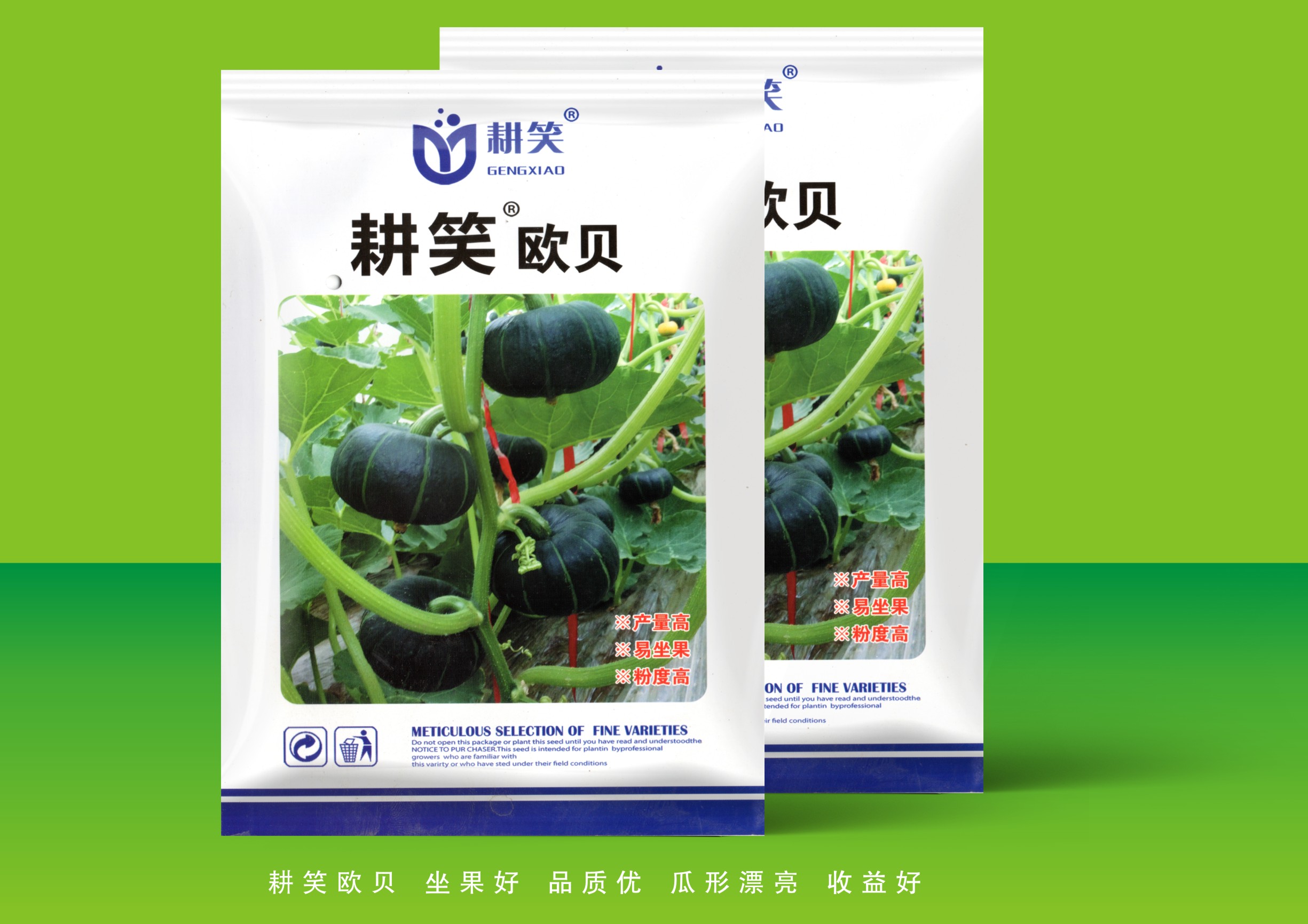 夏邑县耕笑欧贝贝贝南瓜种子