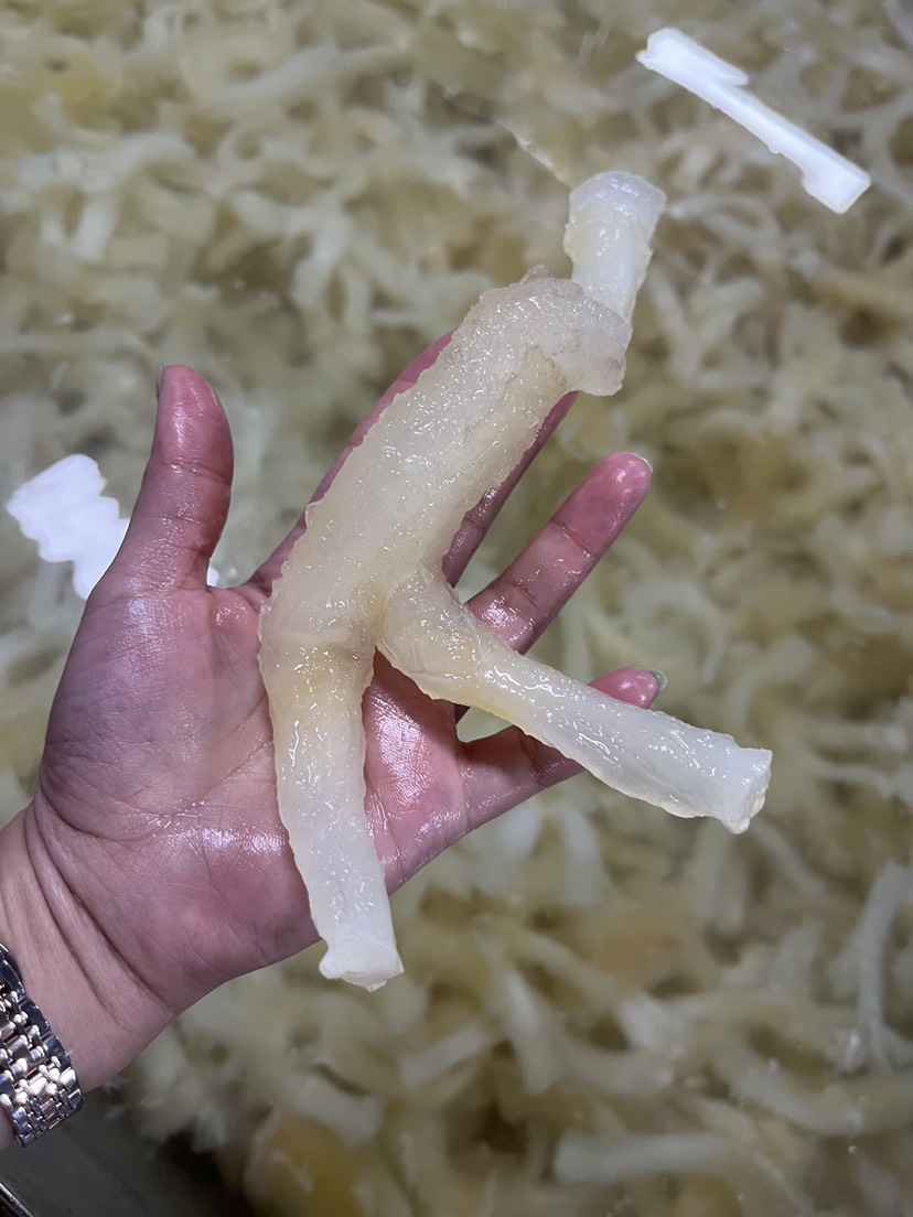 牛蹄筋主筋