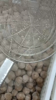 汕头潮汕牛肉丸