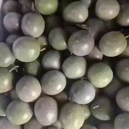 台农果，想要的下单，100斤起发货（价格以当天联系我为准）