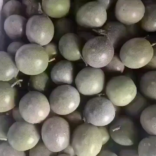 灵山县台农果，想要的下单，100斤起发货（价格以当天联系我为准）