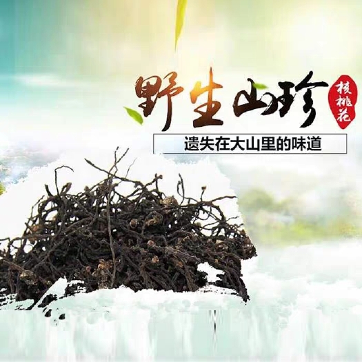 冕宁县野生核桃花