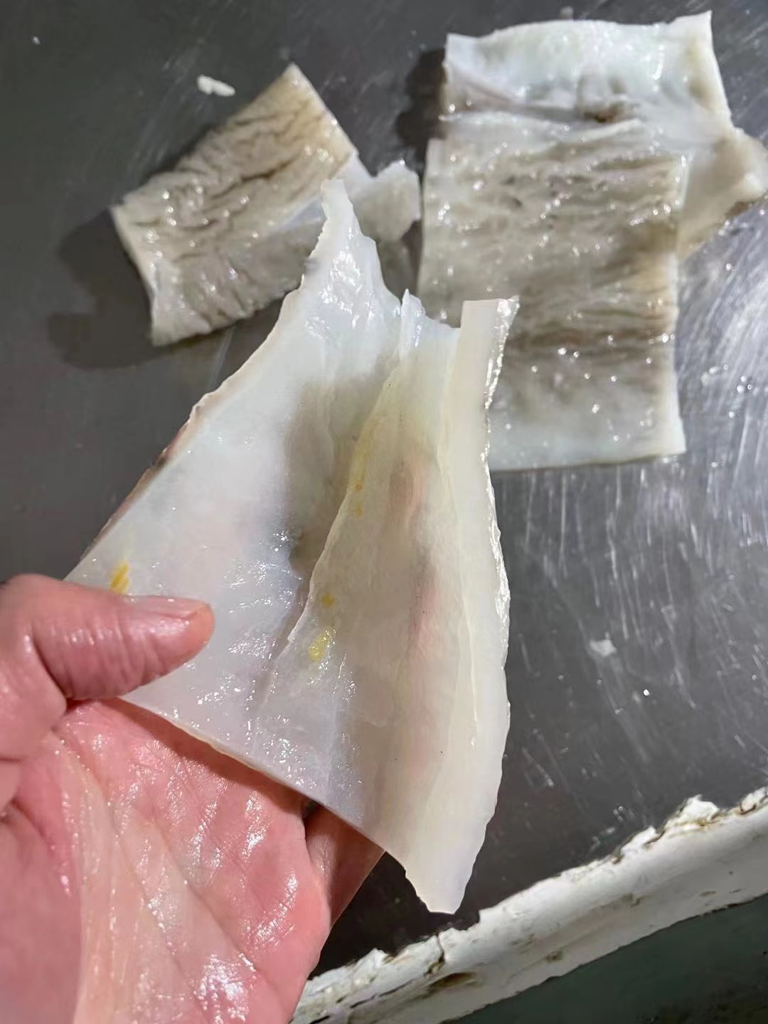 福州鲨鱼皮 质量保证 价格优势