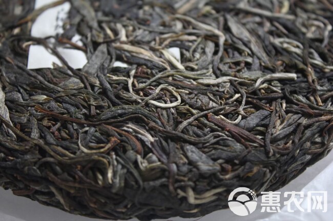 2023年昔归早春300年古树茶饼200克