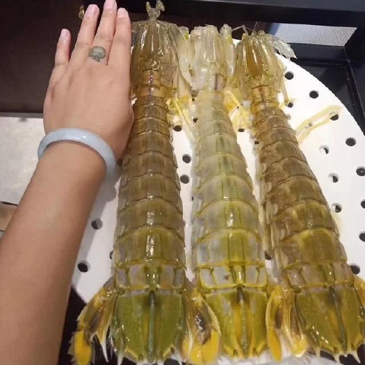  特大皮皮虾巨型虾手臂大虾鲜活熟冻濑尿虾虾姑爬虾子富贵虾
