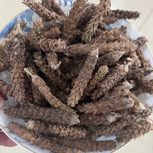 唐河县精品夏枯球