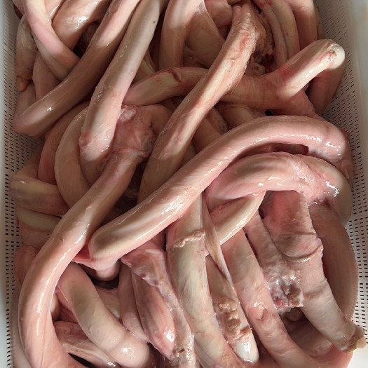 临夏市精品牛鞭