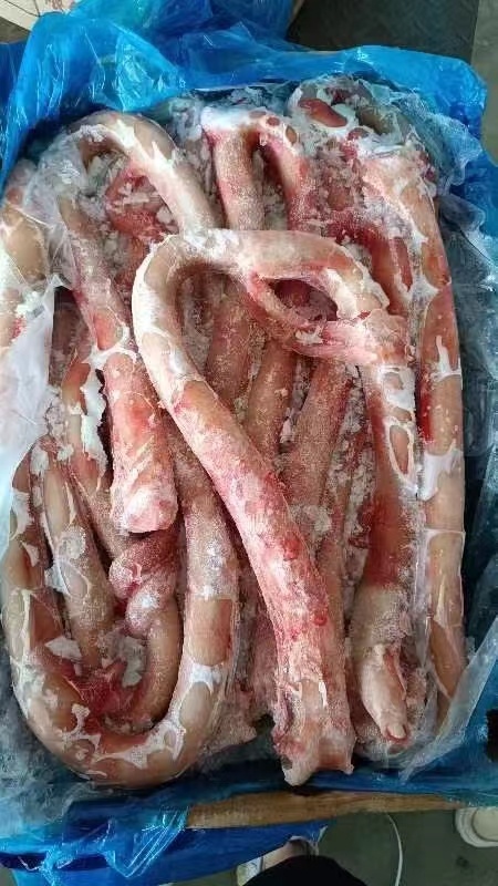 郑州牛鞭，大牛鞭，精修，质量好，一手货源，全国冷链发货