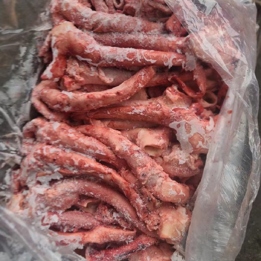 心管