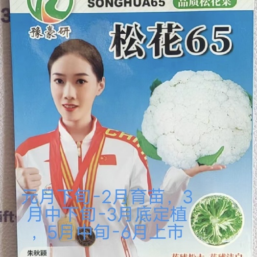 松花65花椰菜种子早中熟耐热耐湿高品质花梗浅绿色松大