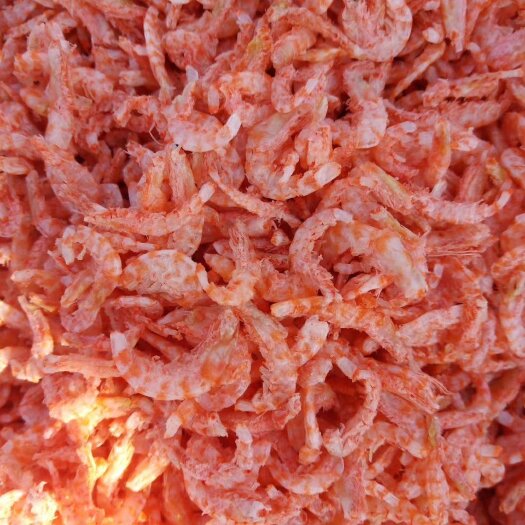 滨州鳞虾米，鳞虾仁，质量有保障，一件也是批发价格