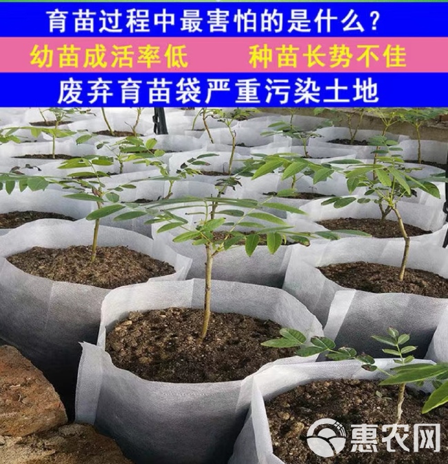 无纺布育苗袋营养袋批发营养钵可降解种植袋一次性花盆育苗杯