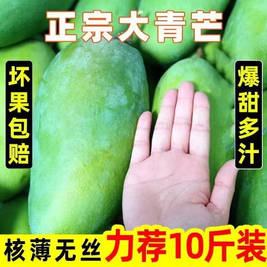 昆明[一件代发]现摘大青芒基地直供对接直播电商现货秒发批发代发
