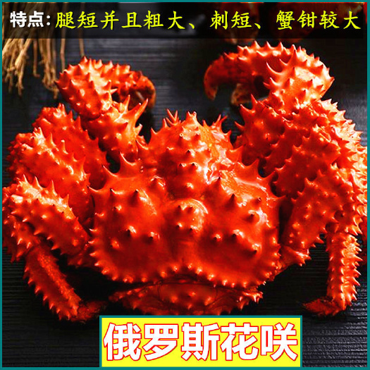  【抢购】俄罗斯熟冻帝王蟹超大螃蟹皇帝蟹海蟹新鲜冻