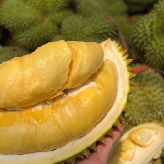 昆明泰果金枕头榴莲供应电商包邮包售后全国发货