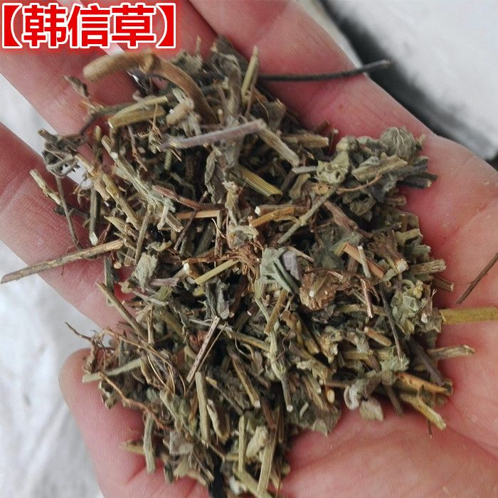 中药材韩信草 大力草 大韩信草 耳挖草 顺经草新货包邮