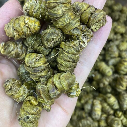 广州精选铁皮石斛，满满胶质，墨绿墨绿，颗粒均匀。