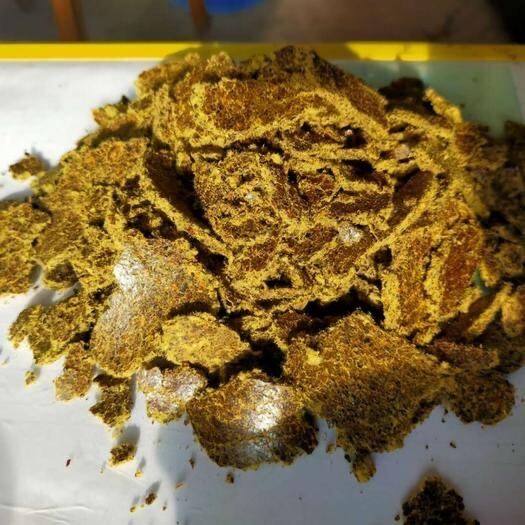 石家庄棉子饼