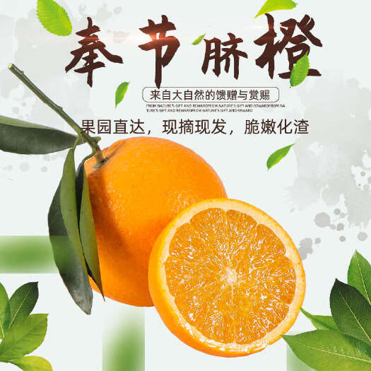 奉节现货奉节脐橙橙子橘子应季水果