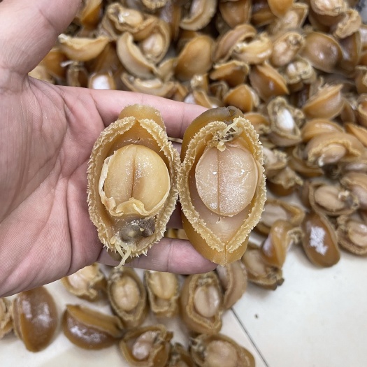 黄金鲍，吉品鲍鱼，南非鲍。吉品鲍，大连吉品，酒店，会所，招待