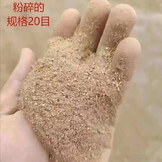 石家庄金针菇渣