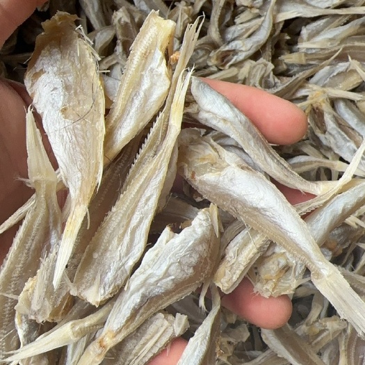 北海红娘鱼 六角鱼 白菇鱼北海特产小鱼干晒场批发价