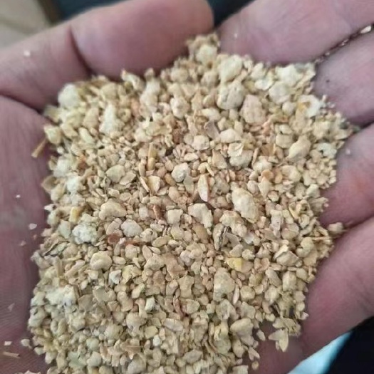 天津豆粕