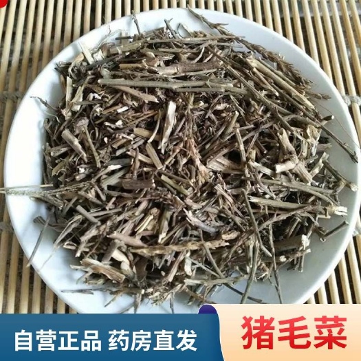 中药材猪毛菜扎蓬棵扎蓬蒿刺沙蓬猪毛草包邮保正品