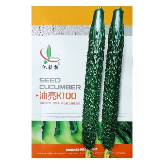 宿迁油亮K100特油亮黄瓜蔬菜种子春秋季大棚耐热强雌青瓜种籽